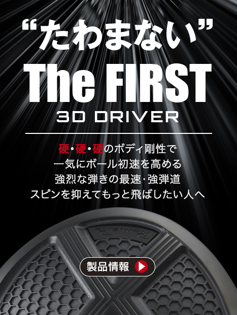 The FIRST 3D DRIVER